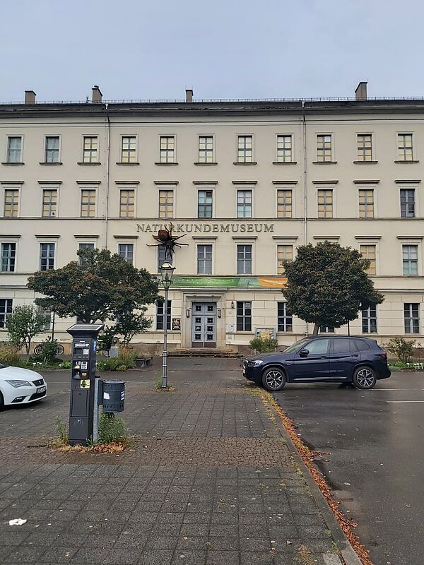 Das Bild zeigt die Fassade des Naturkundemuseums Leipzig. Es ist ein historisches Gebäude mit einer hellen, cremefarbenen Fassade und großen Fenstern, die gleichmäßig über drei Etagen verteilt sind. Der Gebäudeeingang befindet sich in der Mitte und ist über eine kleine Treppe erreichbar. Über dem Eingang prangt der Schriftzug „NATURKUNDEMUSEUM“.