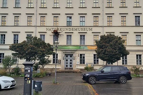 Das Bild zeigt die Fassade des Naturkundemuseums Leipzig. Es ist ein historisches Gebäude mit einer hellen, cremefarbenen Fassade und großen Fenstern, die gleichmäßig über drei Etagen verteilt sind. Der Gebäudeeingang befindet sich in der Mitte und ist über eine kleine Treppe erreichbar. Über dem Eingang prangt der Schriftzug „NATURKUNDEMUSEUM“.