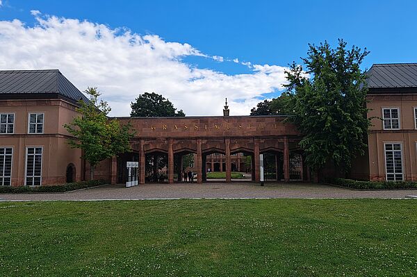 Das Bild zeigt das Grassimuseum am Johannisplatz, gekennzeichnet durch ein Gebäude mit terrakottafarbener Fassade und einer zentralen Arkadenstruktur, die als Eingang dient. Über den Arkaden ist der Name "GRASSI MUSEUM" in goldenen Buchstaben zu sehen. Vor dem Museum erstreckt sich eine große Rasenfläche.