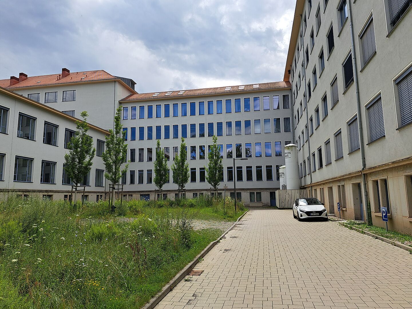 Das Bild zeigt das Karl-Sudhoff-Institut für Geschichte der Medizin und der Naturwissenschaften, ein mehrstöckiges, längliches Gebäude mit einer Fassade aus grauen und weißen Paneelen. Zahlreiche Fenster gliedern die Außenwände. Vor dem Gebäude befindet sich ein gepflasterter Weg, der von jungen Bäumen flankiert wird. Das umgebende Gelände zeigt eine natürliche Wiese mit wilden Gräsern und Blumen.