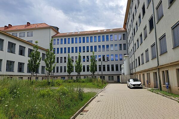 Das Bild zeigt das Karl-Sudhoff-Institut für Geschichte der Medizin und der Naturwissenschaften, ein mehrstöckiges, längliches Gebäude mit einer Fassade aus grauen und weißen Paneelen. Zahlreiche Fenster gliedern die Außenwände. Vor dem Gebäude befindet sich ein gepflasterter Weg, der von jungen Bäumen flankiert wird. Das umgebende Gelände zeigt eine natürliche Wiese mit wilden Gräsern und Blumen.
