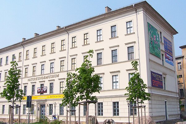 Gebäude Naturkundemuseum Leipzig
