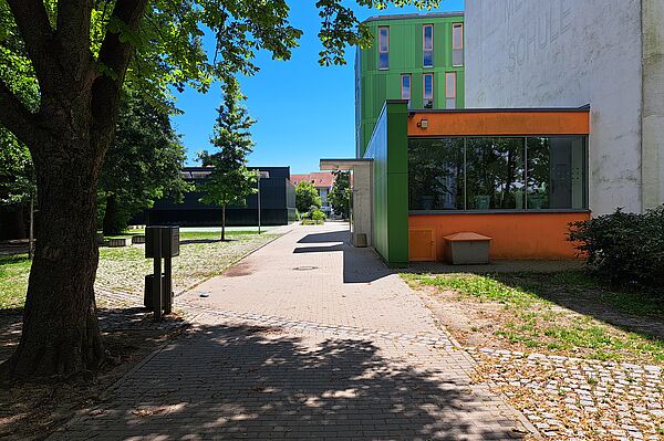 Das Bild zeigt den Eingangsbereich der Franz-Mehring-Schule. Ein Weg führt entlang eines Baumes und eines Mülleimers, vorbei an einem modernen Gebäude mit grüner und orangefarbener Fassade auf der rechten Seite. Im Hintergrund sind weitere Schulgebäude zu sehen, die in verschiedenen Farben gestaltet sind. Der Bereich ist von Bäumen und Grünflächen umgeben.