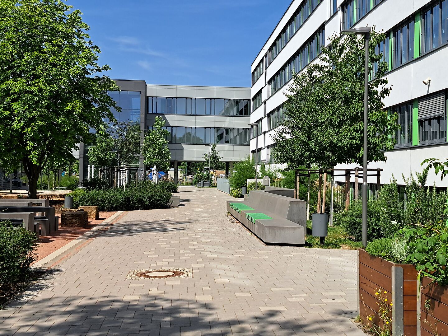 Das Bild zeigt das Schulzentrum Grünau. Es handelt sich um einen modernen Schulcampus mit mehreren Gebäuden, die von grünen Bereichen umgeben sind. Die Gebäude haben weiße-graue Fassade mit großen Fenstern und grünen Fensterrahmen. Im Vordergrund des Bildes ist ein gepflasterter Weg zu sehen, der von Bänken, Bäumen und Pflanzen gesäumt ist. Links befindet sich ein Bereich mit Sitzgelegenheiten und Tischen, der von Bäumen und Sträuchern umgeben ist. Im Hintergrund sieht man weitere Gebäude des Schulzentrums und den blauen Himmel.