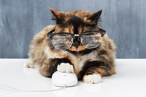 Volle Kontrolle der Maus (c) iStock.com/Urilux