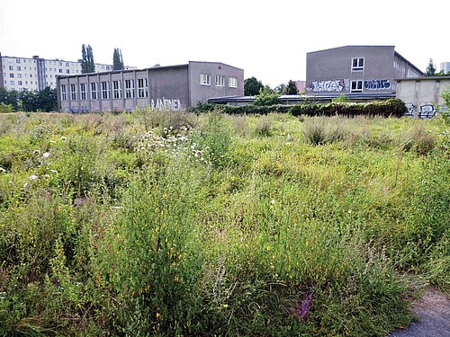 Streifzüge und Durchquerungen